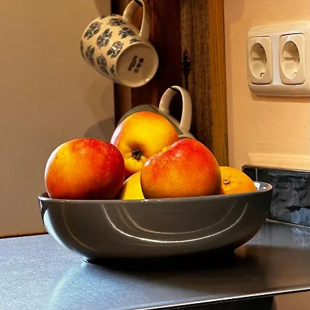 Gemuetliche In Mit Eigenem Garten Апартаменты