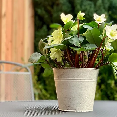 Gemuetliche In Mit Eigenem Garten Апартаменты *